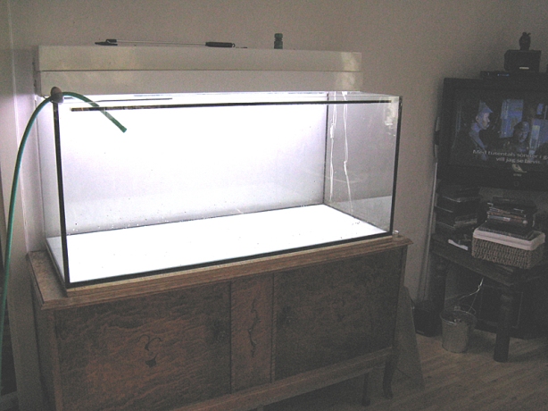 320-liters akvariet på plats